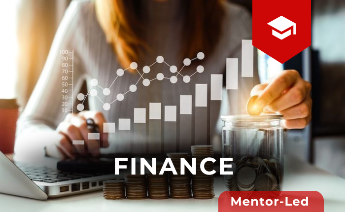 Finance (Mentor Led)