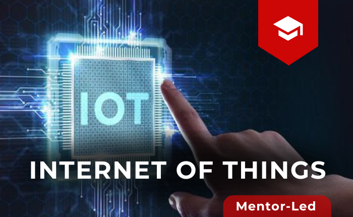 Internet of Things (Mentor Led)